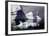 Icebergs in Greenland-Françoise Gaujour-Framed Photographic Print