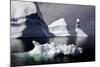 Icebergs in Greenland-Françoise Gaujour-Mounted Photographic Print