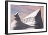 Icebergs in Greenland-Françoise Gaujour-Framed Photographic Print