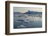 Icebergs in Greenland-Natalie Tepper-Framed Photo