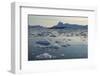 Icebergs in Greenland-Natalie Tepper-Framed Photo