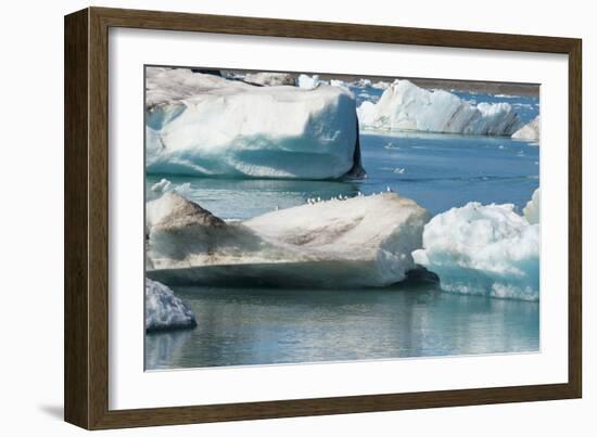 Icebergs in Jokulsarlon Glacial Lagoon, Iceland-Keren Su-Framed Photographic Print