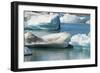 Icebergs in Jokulsarlon Glacial Lagoon, Iceland-Keren Su-Framed Photographic Print