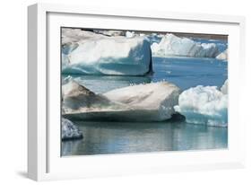 Icebergs in Jokulsarlon Glacial Lagoon, Iceland-Keren Su-Framed Photographic Print