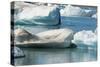 Icebergs in Jokulsarlon Glacial Lagoon, Iceland-Keren Su-Stretched Canvas