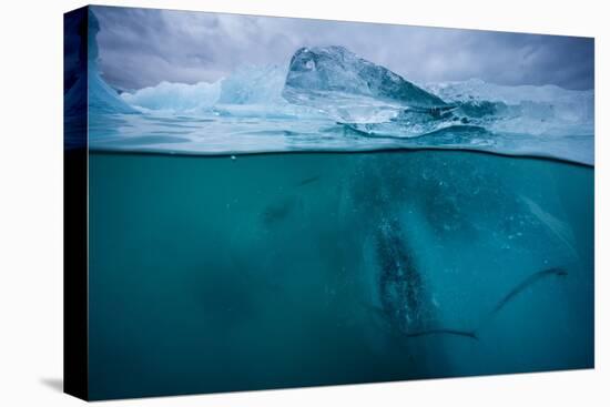 Icebergs in Jokulsarlon, Iceland-null-Stretched Canvas