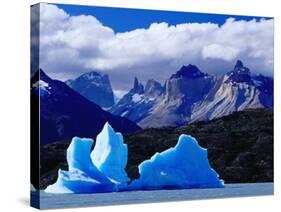 Icebergs in Lake Grey and Mountains of the Macizo Paine Massif, Patagonia, Chile-Richard I'Anson-Stretched Canvas