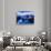 Icebergs in Lake Grey and Mountains of the Macizo Paine Massif, Patagonia, Chile-Richard I'Anson-Photographic Print displayed on a wall