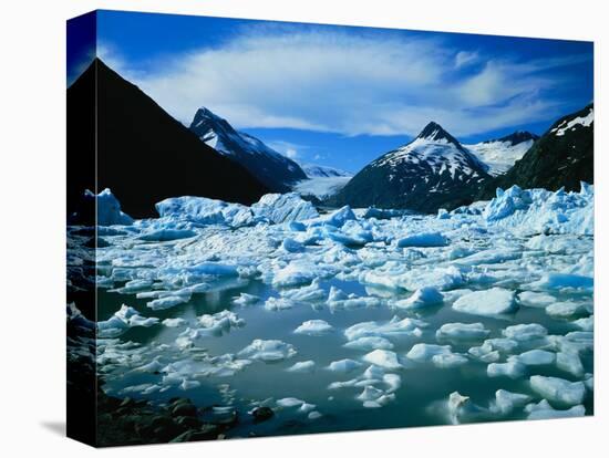 Icebergs in Portage Lake-James Randklev-Stretched Canvas