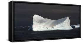 Icebergs in the Antarctic Sound-null-Framed Stretched Canvas