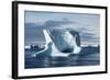 Icebergs in the Antarctic Sound-null-Framed Photographic Print