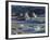 Icebergs in the Glacier Lagoon Sv’nafellsjškull, East Iceland, Iceland-Rainer Mirau-Framed Photographic Print