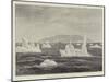 Icebergs in the Strait of Belle Isle, Newfoundland-null-Mounted Giclee Print