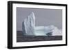 Icebergs, Kings Cove, Newfoundland, Canada-Greg Johnston-Framed Photographic Print