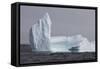 Icebergs, Kings Cove, Newfoundland, Canada-Greg Johnston-Framed Stretched Canvas