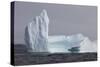 Icebergs, Kings Cove, Newfoundland, Canada-Greg Johnston-Stretched Canvas