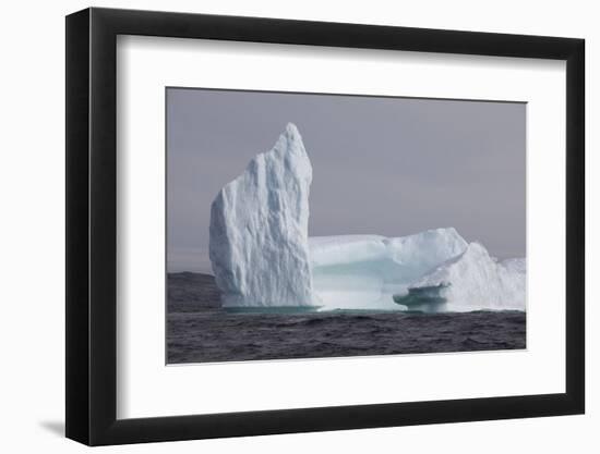 Icebergs, Kings Cove, Newfoundland, Canada-Greg Johnston-Framed Photographic Print