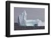 Icebergs, Kings Cove, Newfoundland, Canada-Greg Johnston-Framed Photographic Print