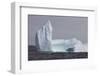 Icebergs, Kings Cove, Newfoundland, Canada-Greg Johnston-Framed Photographic Print