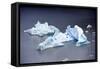 Icebergs, Lago Grey, Torres Del Paine, Chile-Bennett Barthelemy-Framed Stretched Canvas