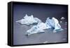 Icebergs, Lago Grey, Torres Del Paine, Chile-Bennett Barthelemy-Framed Stretched Canvas