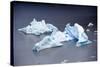 Icebergs, Lago Grey, Torres Del Paine, Chile-Bennett Barthelemy-Stretched Canvas