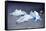 Icebergs, Lago Grey, Torres Del Paine, Chile-Bennett Barthelemy-Framed Stretched Canvas