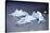 Icebergs, Lago Grey, Torres Del Paine, Chile-Bennett Barthelemy-Stretched Canvas