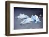 Icebergs, Lago Grey, Torres Del Paine, Chile-Bennett Barthelemy-Framed Photographic Print