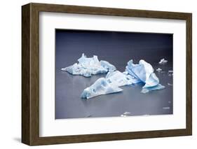 Icebergs, Lago Grey, Torres Del Paine, Chile-Bennett Barthelemy-Framed Photographic Print