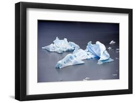 Icebergs, Lago Grey, Torres Del Paine, Chile-Bennett Barthelemy-Framed Photographic Print