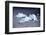 Icebergs, Lago Grey, Torres Del Paine, Chile-Bennett Barthelemy-Framed Photographic Print