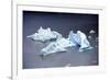 Icebergs, Lago Grey, Torres Del Paine, Chile-Bennett Barthelemy-Framed Photographic Print