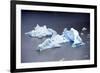 Icebergs, Lago Grey, Torres Del Paine, Chile-Bennett Barthelemy-Framed Photographic Print