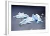 Icebergs, Lago Grey, Torres Del Paine, Chile-Bennett Barthelemy-Framed Photographic Print