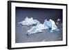 Icebergs, Lago Grey, Torres Del Paine, Chile-Bennett Barthelemy-Framed Photographic Print