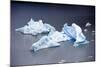 Icebergs, Lago Grey, Torres Del Paine, Chile-Bennett Barthelemy-Mounted Photographic Print