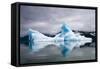 Icebergs Near South Sawyer Glacier in Alaska-Paul Souders-Framed Stretched Canvas