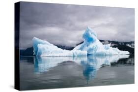 Icebergs Near South Sawyer Glacier in Alaska-Paul Souders-Stretched Canvas