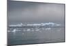 Icebergs Neko Harbour, Antarctica-Albert Knapp-Mounted Photographic Print