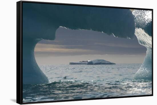 Icebergs, Nunavut and Northwest Territories, Canada-Raul Touzon-Framed Stretched Canvas