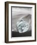 Icebergs on black volcanic beach, Iceland.-Martin Zwick-Framed Photographic Print