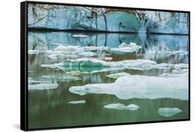 Icebergs on glacial meltwater under Mount Edith Cavell, Jasper National Park, Alberta, Canada.-Russ Bishop-Framed Stretched Canvas