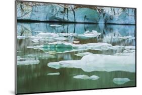 Icebergs on glacial meltwater under Mount Edith Cavell, Jasper National Park, Alberta, Canada.-Russ Bishop-Mounted Photographic Print