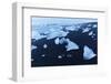 Icebergs on the beach at Jokulsarlon, Iceland, Polar Regions-Miles Ertman-Framed Photographic Print