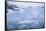 Icebergs Reflected in the Sea-DLILLC-Framed Stretched Canvas