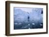 Icebergs Reflected in the Sea-DLILLC-Framed Photographic Print
