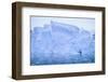 Icebergs Reflected in the Sea-DLILLC-Framed Photographic Print