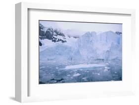 Icebergs Reflected in the Sea-DLILLC-Framed Photographic Print