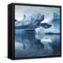 Icebergs Reflected in Water-null-Framed Stretched Canvas